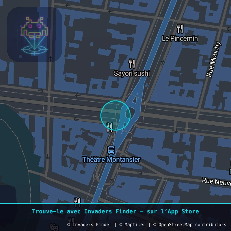 Zone approximative de l'invader VRS_17, dans le quartier Carré au Puits, Versailles à Versailles. Emplacement exact disponible dans l'app Invaders Finder.