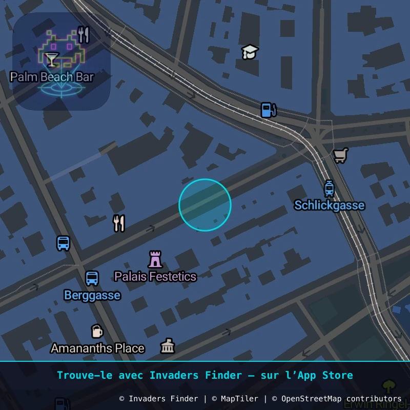 Zone approximative de l'invader WN_18, dans le quartier Widmerviertel, Vienne à Vienne. Emplacement exact disponible dans l'app Invaders Finder.