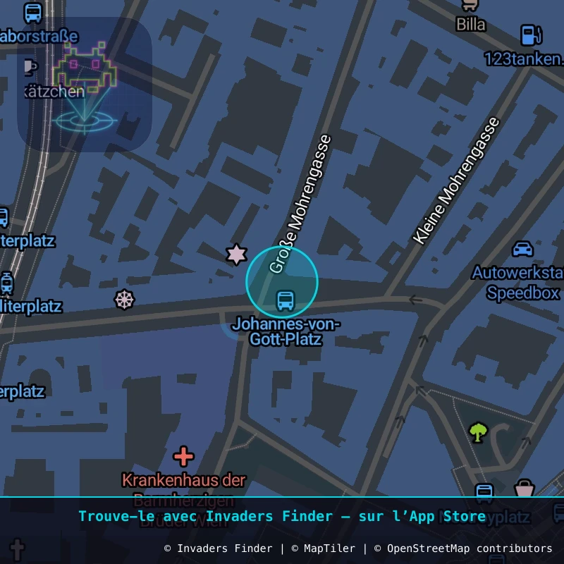 Zone approximative de l'invader WN_27, dans le quartier Widmerviertel, Vienne à Vienne. Emplacement exact disponible dans l'app Invaders Finder.